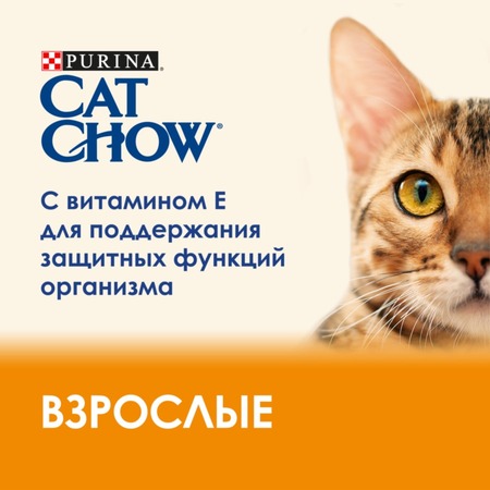 Влажный корм Purina Cat Chow Adult для взрослых кошек с ягненком и зеленой фасолью в желе - 85 г Дополнительное Превью
