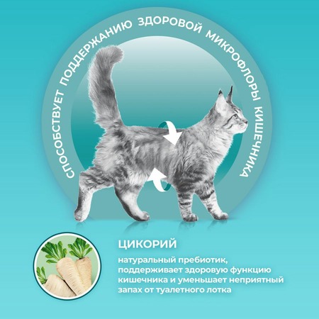 Purina ONE сухой корм для стерилизованных кошек и кастрированных котов, с высоким содержанием лосося и пшеницей - 200 г Дополнительное Превью