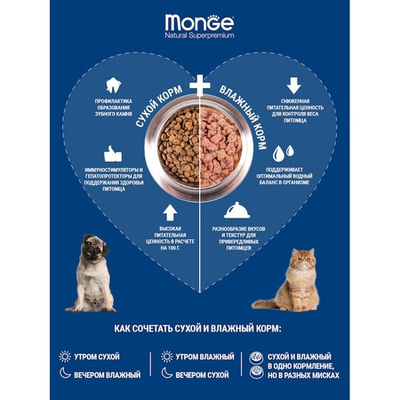 Monge Cat Monoprotein полнорационный влажный корм для стерилизованных кошек, беззерновой, паштет с говядиной, в паучах - 85 г Дополнительное Превью
