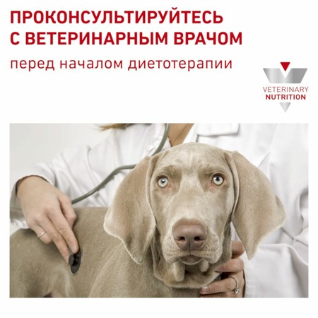 Сухой корм Royal Canin Anallergenic AN18 для взрослых собак, страдающих аллергией Дополнительное Превью